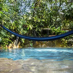 https://la-selva-mariposa.tulum-hotels.net